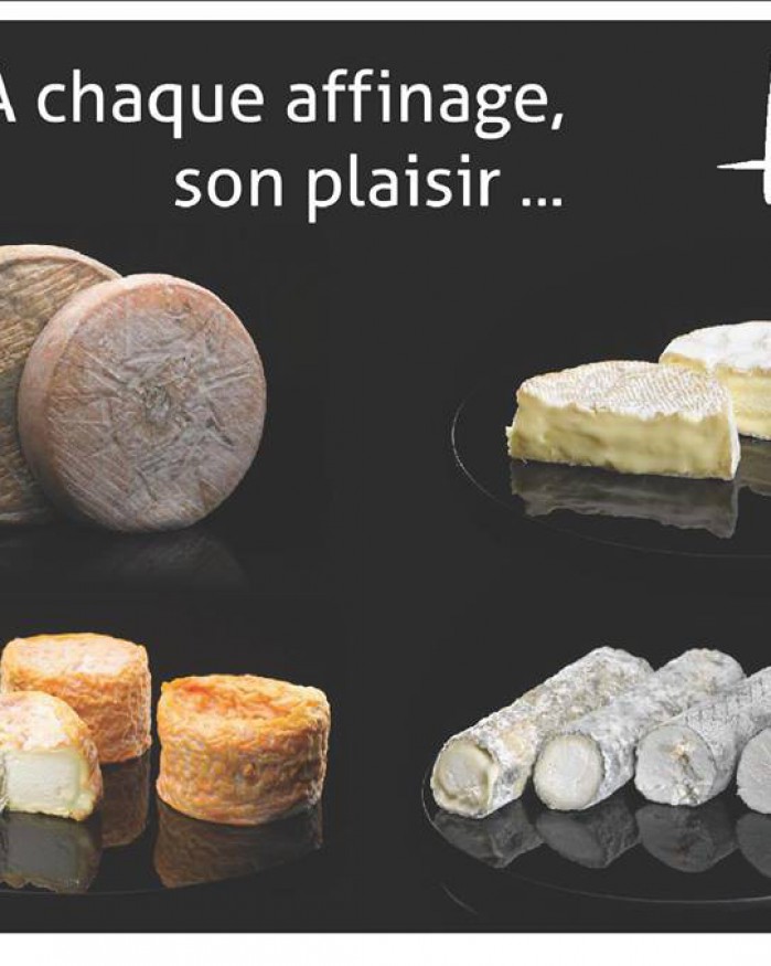 Camembert de Normandie  affiné AOP