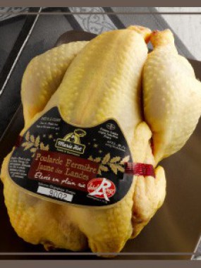 Poularde fermière Label Rouge