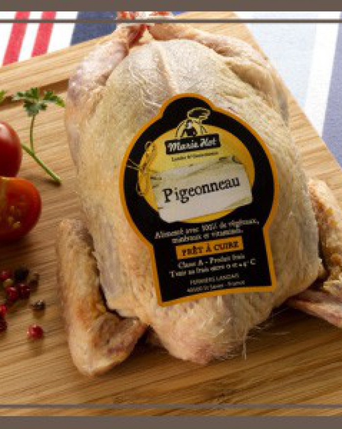 Pigeonneau des Landes