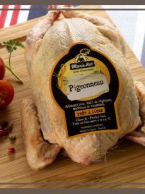 Pigeonneau des Landes