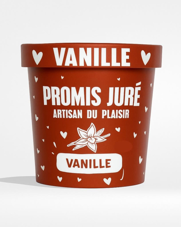 CRÈME GLACÉE - VANILLE - POT 360ML