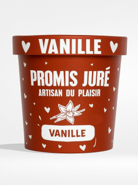 CRÈME GLACÉE - VANILLE - POT 360ML